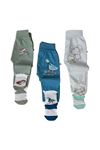 Unisex Bebek Çoraplı Tek Alt 3'lü Set